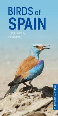 Birds Of Spain - BookMarket