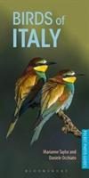 Birds Of Italy - BookMarket