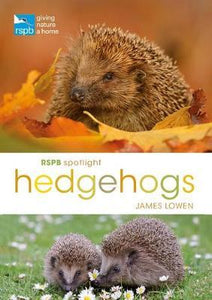 Rspb Spotlight Hedgehogs - BookMarket