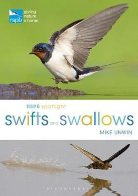 Rspb Spotlight Swifts And Swallows - BookMarket