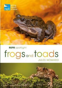 Rspb Spotlight: Frogs & Toads