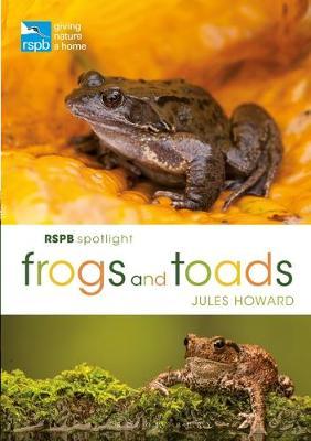 Rspb Spotlight: Frogs & Toads