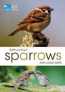 Rspb Spotlight: Sparrows