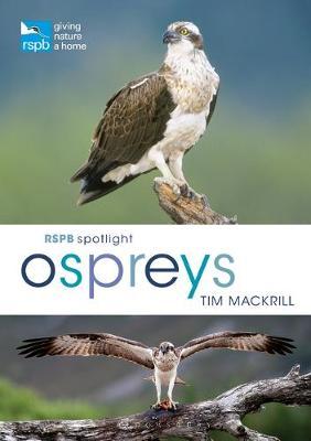 Rspb Spotlight: Osprey
