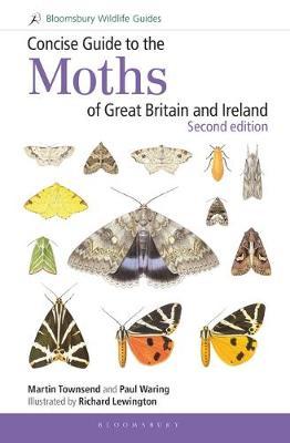 Concise Gde: Moths Of Britain & Ireland 2E