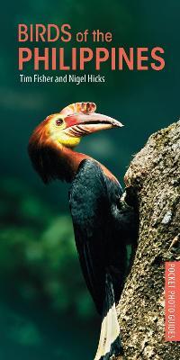 Birds Of The Philippines