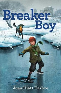 Breaker Boy - BookMarket