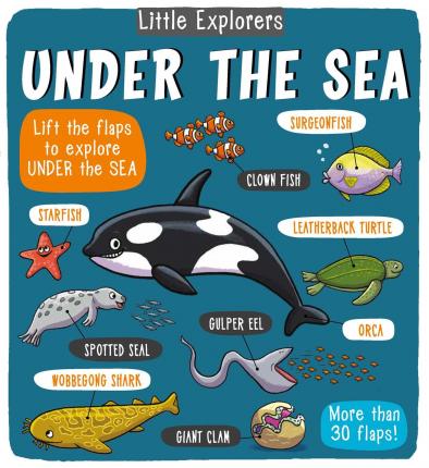 Little Explorers: Under Sea
