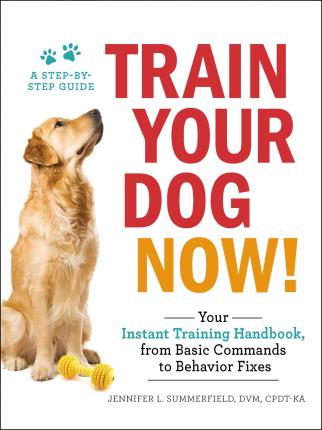 Train Your Dog Now! - BookMarket