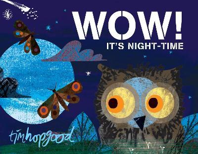 Wow It'S Night-Time