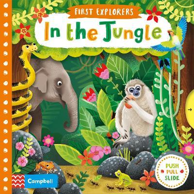 Copy of Little Explorers In Jungle