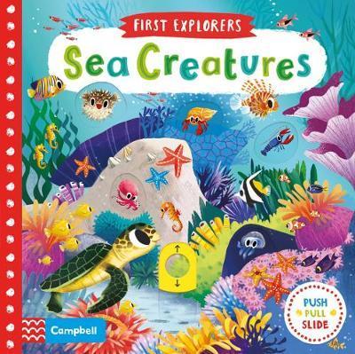 Firstexplorers Sea Creatures (Board Book)