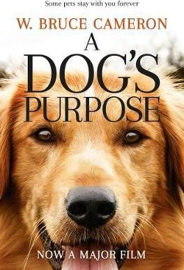 Dog'S Purpose /P - BookMarket