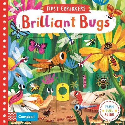 First explorers Brilliant Bugs - BookMarket