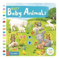 Busy Baby Animals - BookMarket