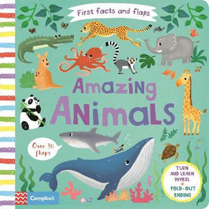 First Facts Flaps Amazing Animals