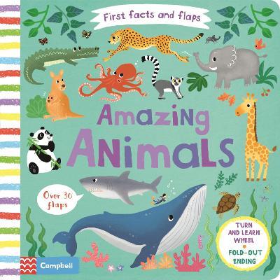 First Facts Flaps Amazing Animals