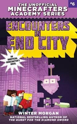 Minecraftacademy06 Encounters In End City