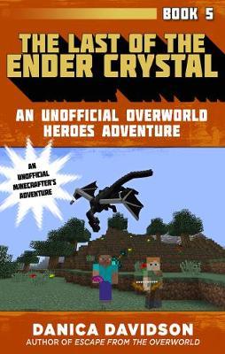 Overworldheroes05 Last Of Ender Crystal