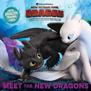 How to Train a Dragon : Hidden World Fti Meet New Dragons - BookMarket
