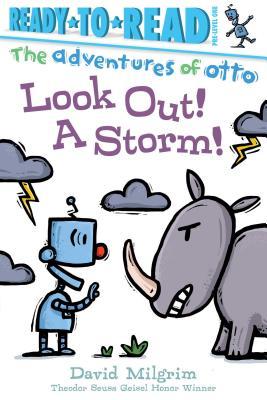 Rtrs Prelvl1 Advsotto Look Out Storm
