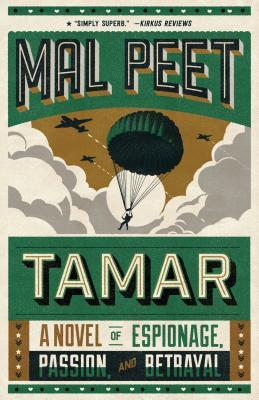 Tamar : A Novel of Espionage, Passion, and Betrayal