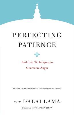 Perfecting Patience : Buddhist Techniques to Overcome Anger - BookMarket