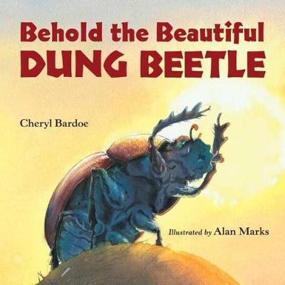 Behold Beaut Dung Beetle