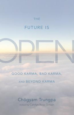 The Future Is Open : Good Karma, Bad Karma, and Beyond Karma /T - BookMarket