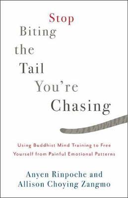 Stop Biting the Tail You're Chasing : Using Buddhist Mind Training to Free Yourself from Painful Emotional Patterns - BookMarket