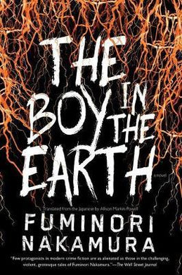 Boy In Earth /T - BookMarket