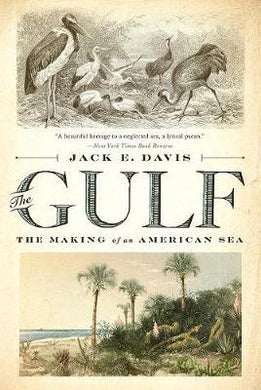 Gulf: Making Of An American Sea - BookMarket