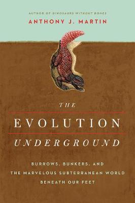 Evolution Underground - BookMarket