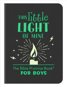 This Little Light of Mine: The Bible Promise Book for Boys - BookMarket