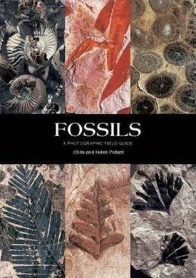 Fossils: A Photographic Guide - BookMarket