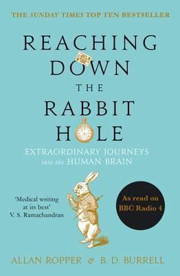Reaching Down Rabbit Hole: Human Brain