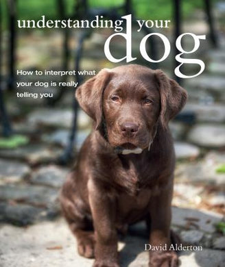 Understanding Your Dog - BookMarket