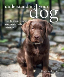 Understanding Your Dog - BookMarket