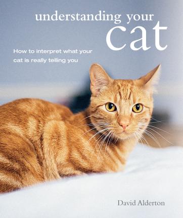 Understanding Your Cat : How to Interpret What Your Cat is Really Telling You - BookMarket