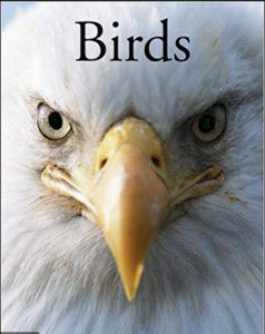 Birds /P - BookMarket