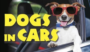 Dogs In Cars - BookMarket