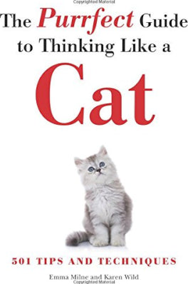 The Purrfect Guide to Thinking Like a Cat