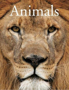Animals /P