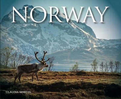Visual Explorer: Norway /P