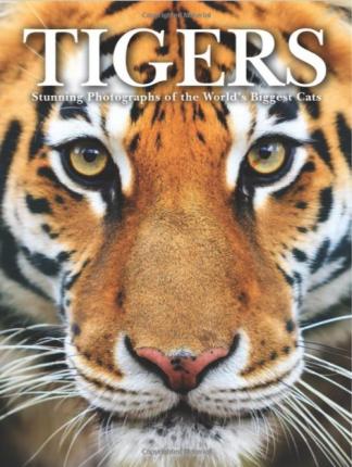 Tigers : Stunning Photographs of the World's Biggest Cats (only copy)