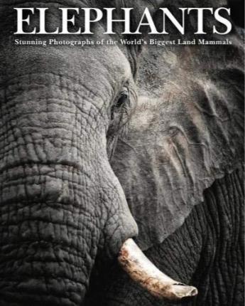 Elephants : Stunning Photographs of the World's Biggest Land Mammals (only copy)