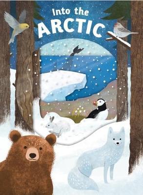 Look Closer Into Arctic - BookMarket