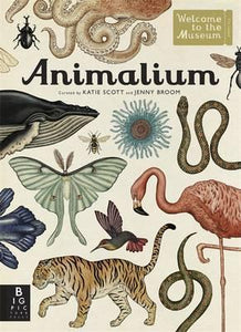 Animalium (Big Picture Press)