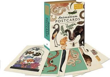 Animalium Postcards