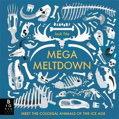 Mega Meltdown - BookMarket